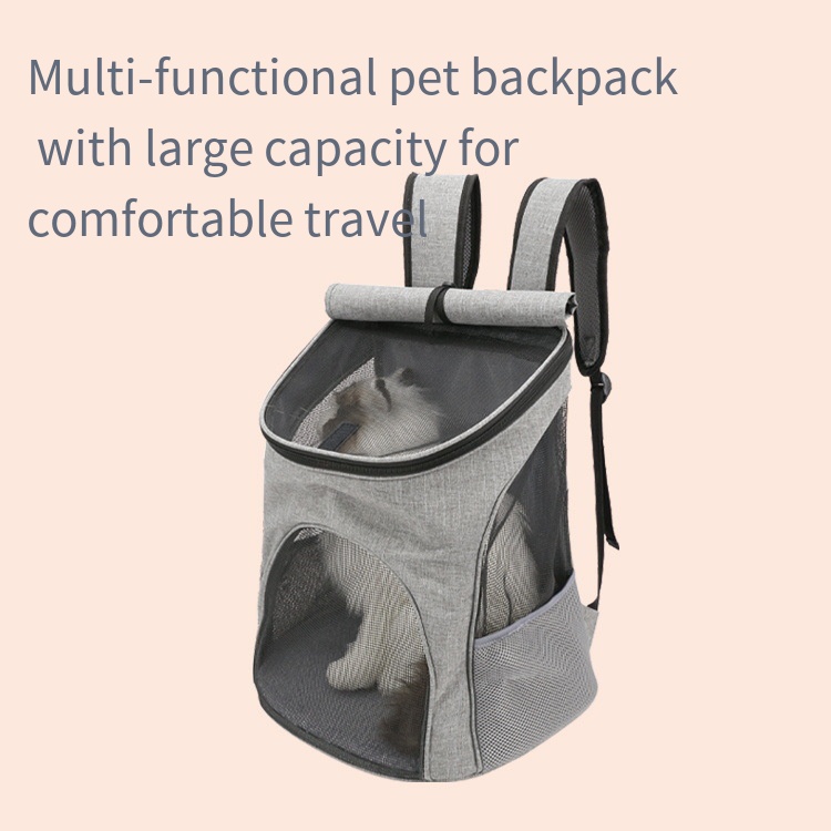 cat backpack navigator