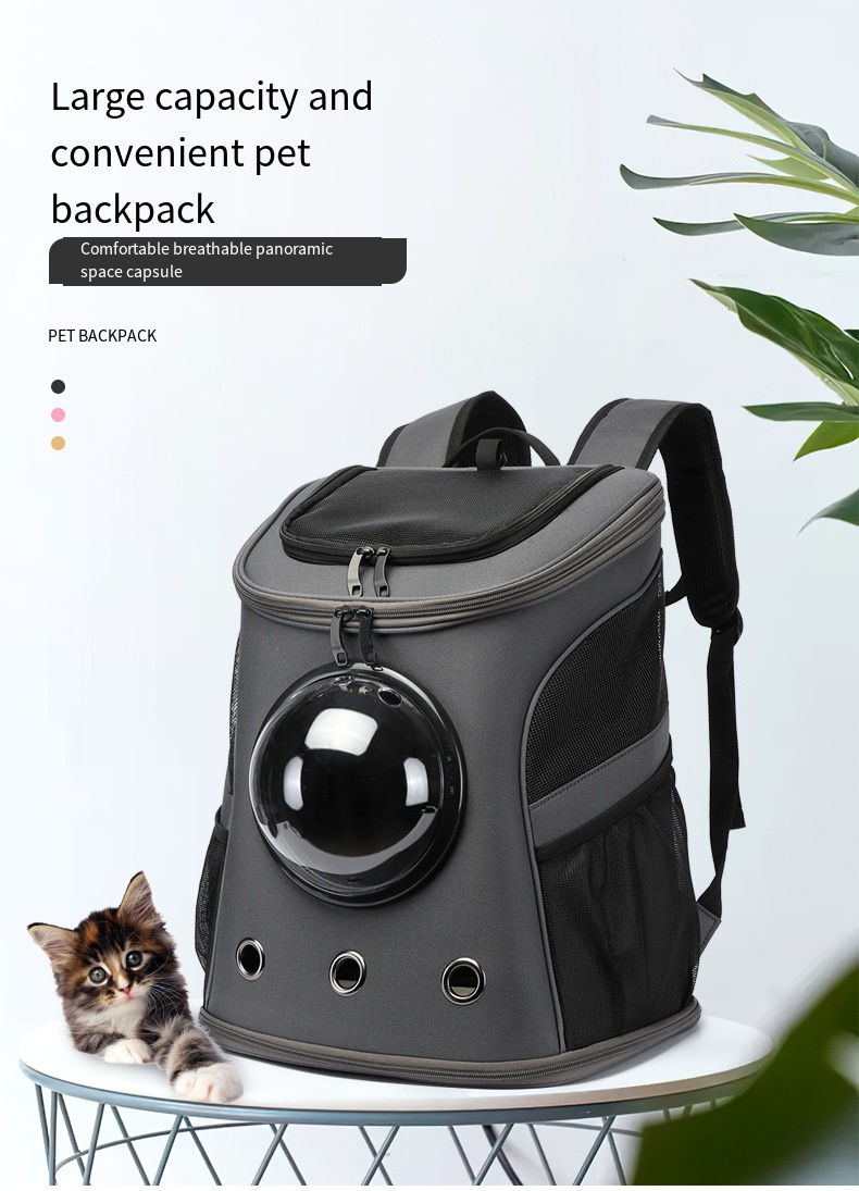fat cat backpack