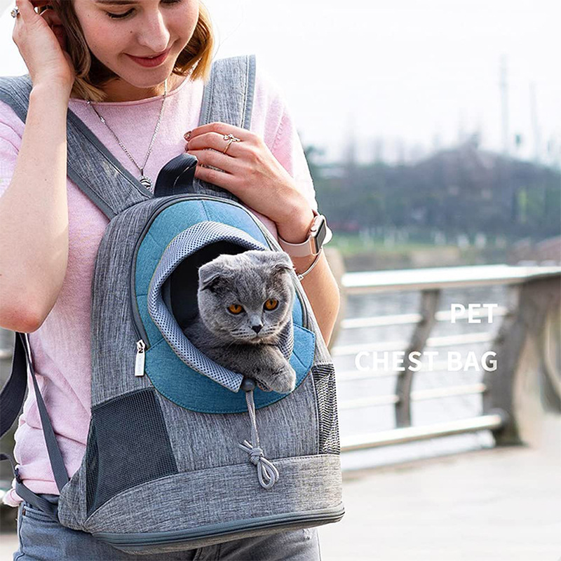 cat backpack petsmart