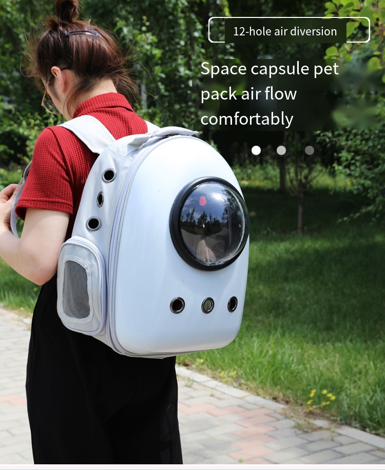 cat backpack pokemon
