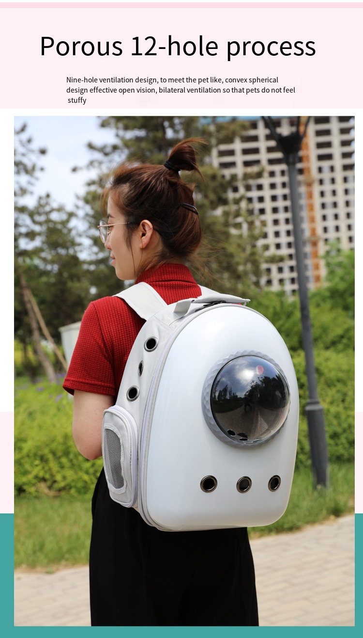 large cat backpack carrier