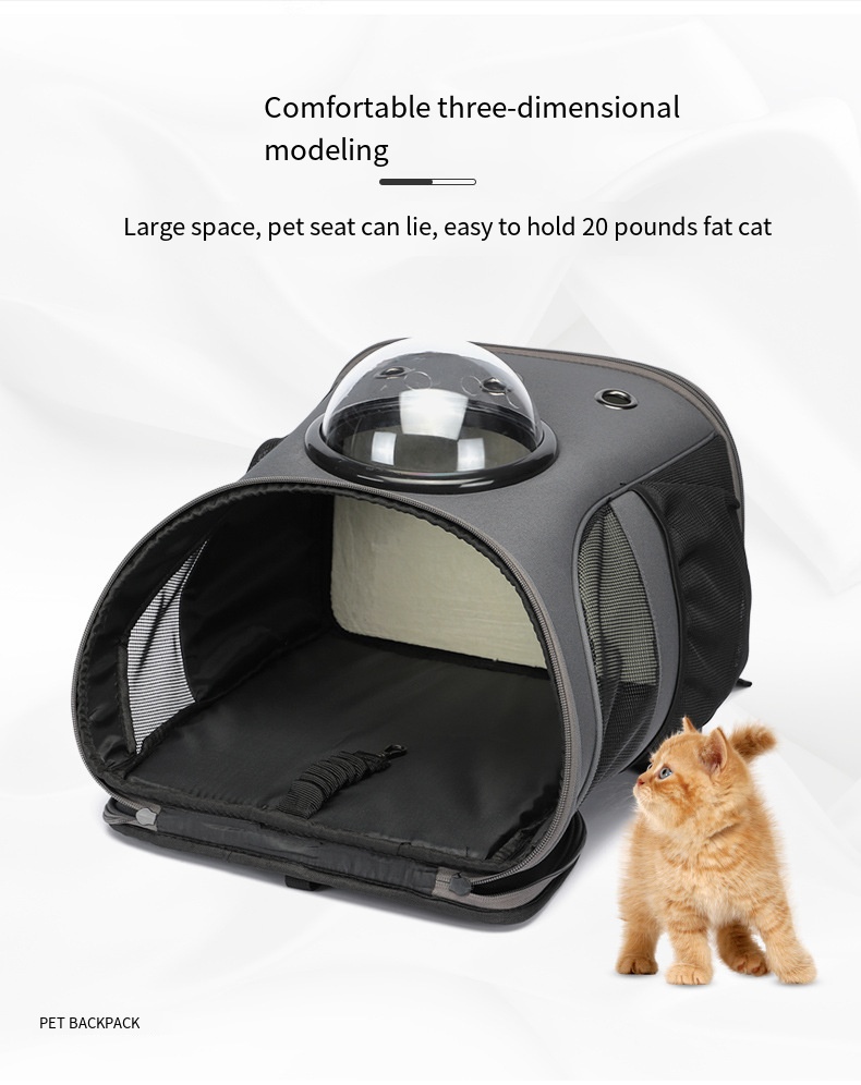 fat cat backpack amazon