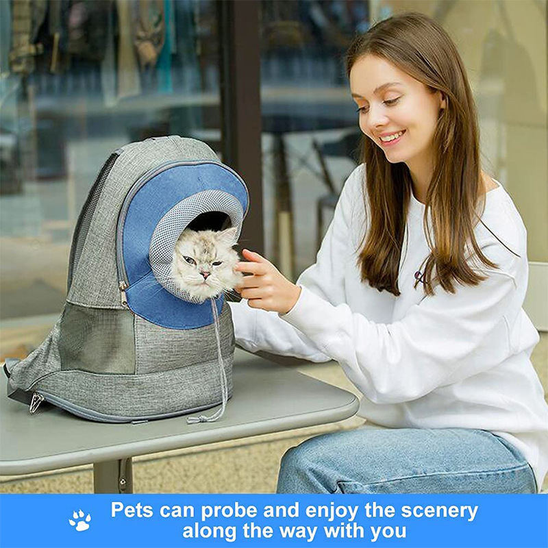 cat carrier backpack petsmart