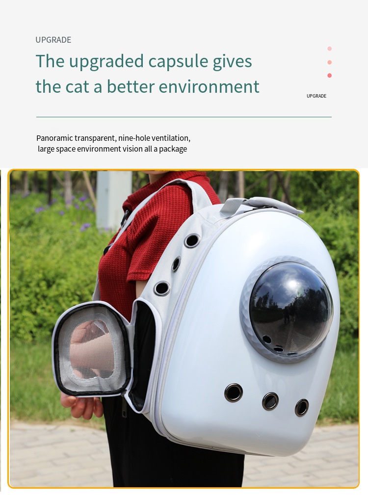 big cat backpack carrier
