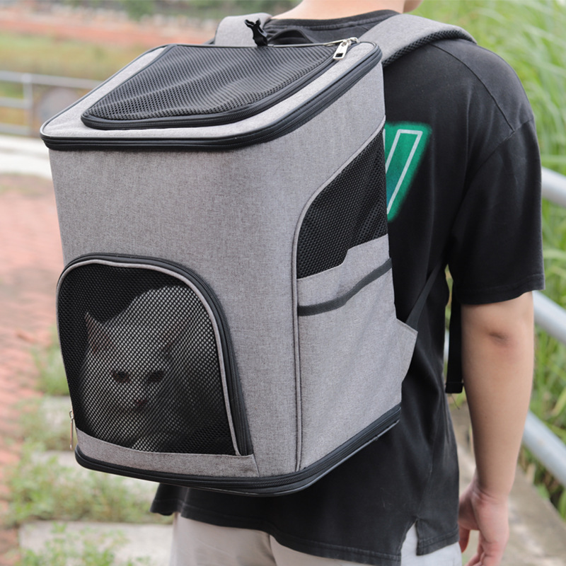 hiking backpack for cats