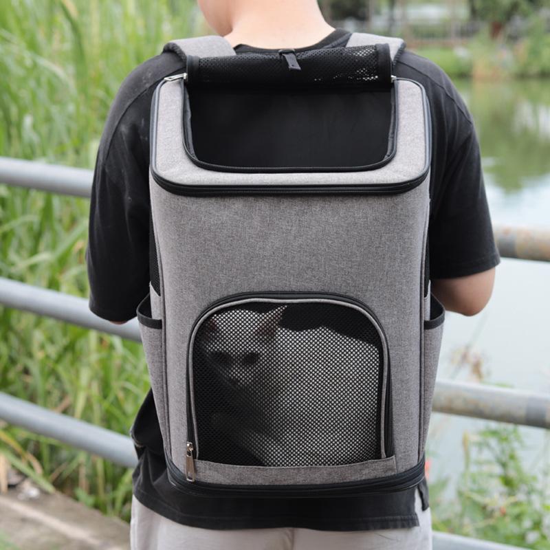 cat hiking backpack